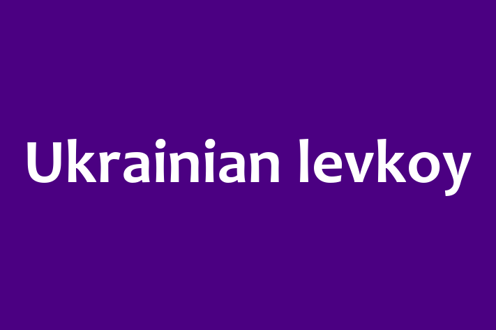 Ukrainian levkoy Pisica Pregtit pentru o Cas in Faleti