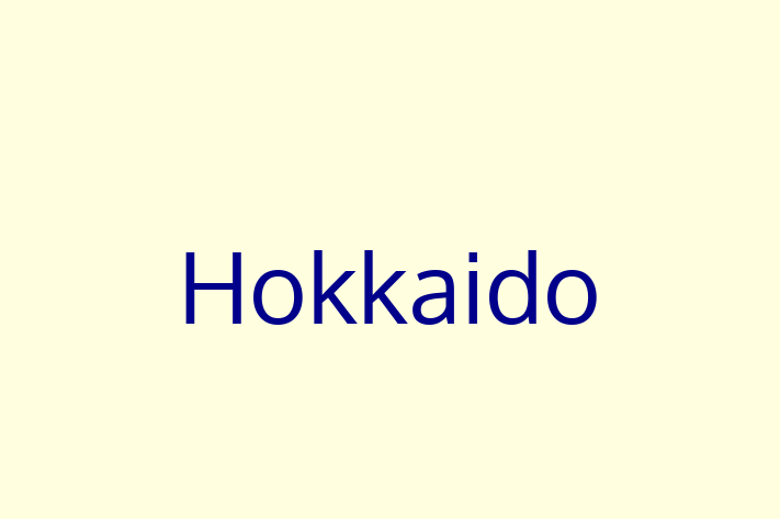 Adopta un Câine Hokkaido Disponibil in Dubasari