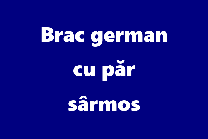 🌟 Întâlnește adorabilul nostru Brac german cu păr sârmos de 1 an! Acest câine este alert și activ și gata pentru o nouă familie. 📍 Locație: Drochia | 💵 Preț: 2,750.00 Lei
📞 Contactează Eugen la (061) 688 998 pentru a programa o vizită!