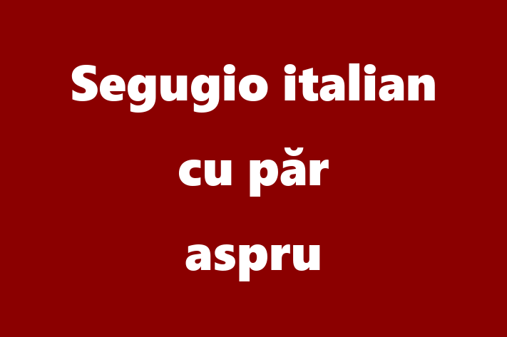 Acest Segugio italian cu păr aspru de 2 ani este alert și activ și în așteptarea unei familii iubitoare! La zi cu toate vaccinările. Preț: 1,200.00 Lei.
Contactează George la (069) 993 417.