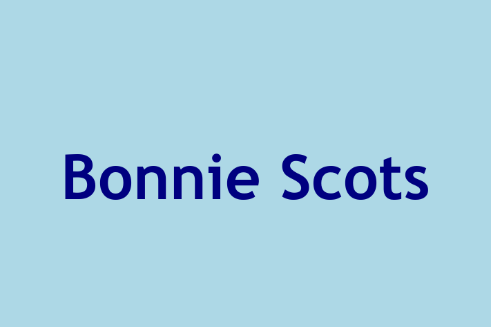 Bonnie Scots