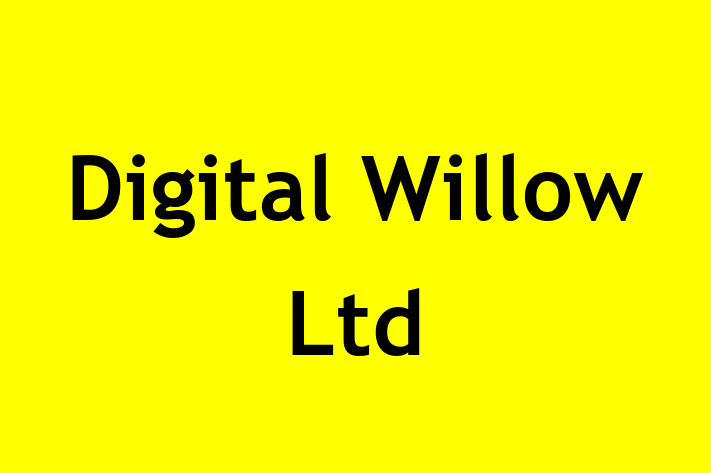 Digital Willow Ltd