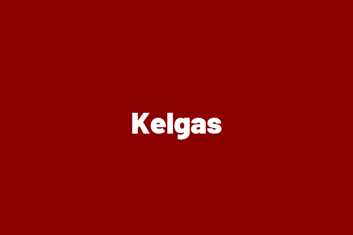 Kelgas