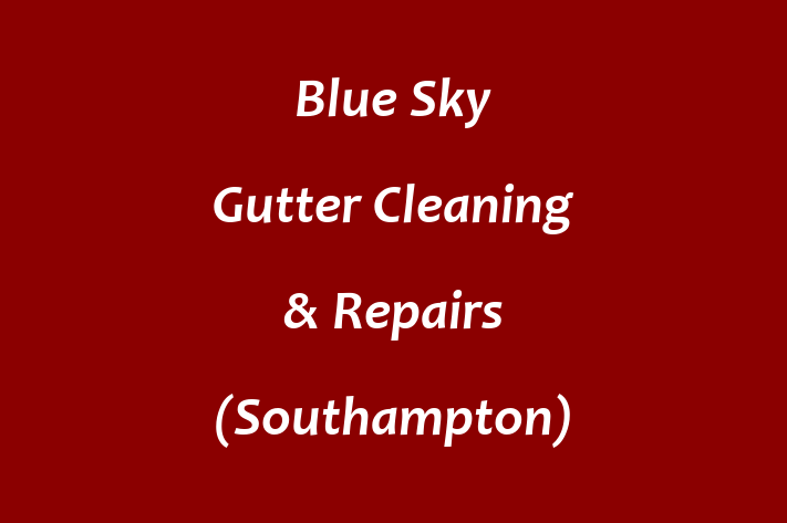 Blue Sky Gutter Cleaning & Repairs (Southampton)