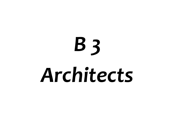 B 3 Architects