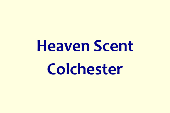 Heaven Scent Colchester