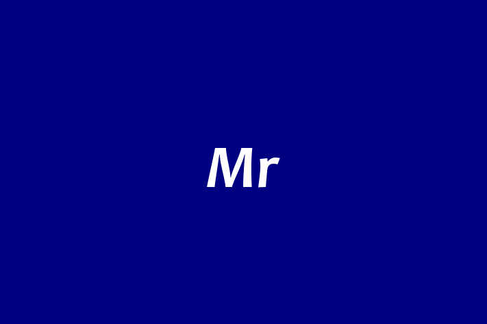 Mr