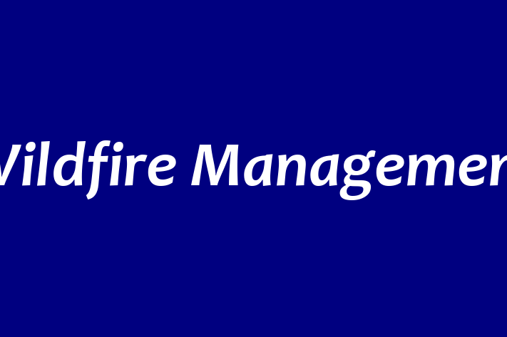 Wildfire Management