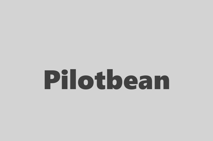 Pilotbean