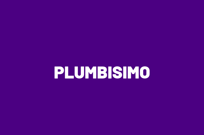 PLUMBISIMO