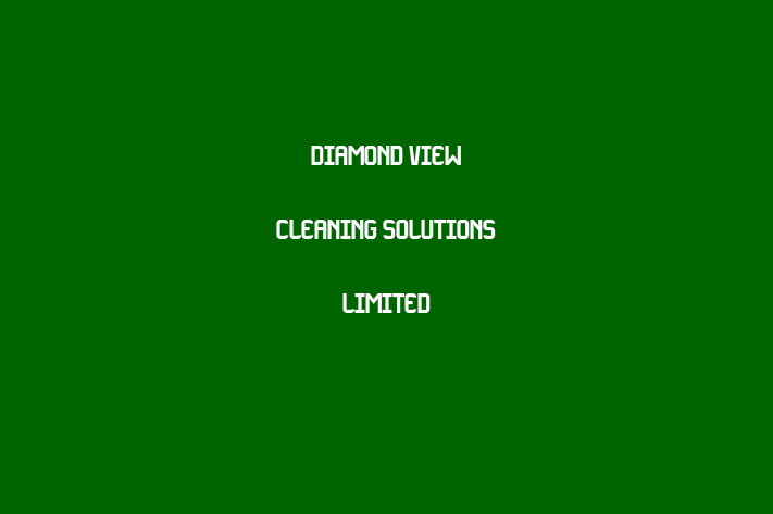 Diamond View Cleaning Solutions limited