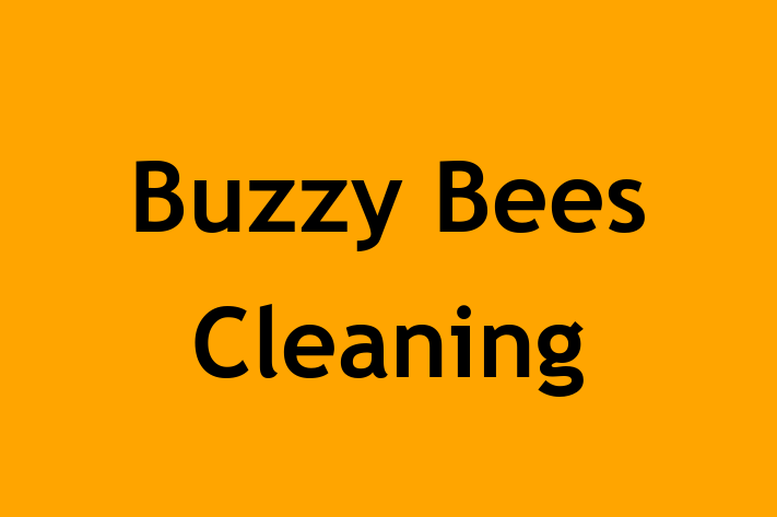 Buzzy Bees Cleaning