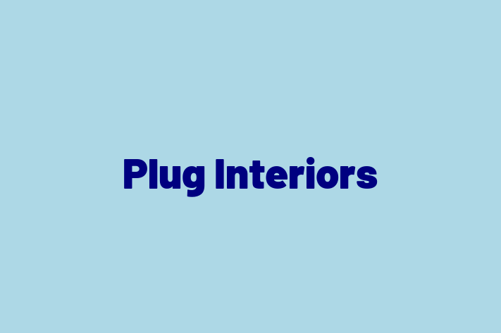 Plug Interiors