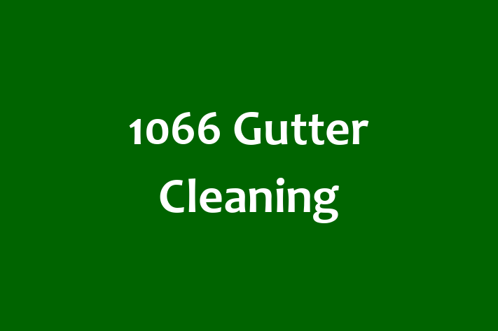 1066 Gutter Cleaning