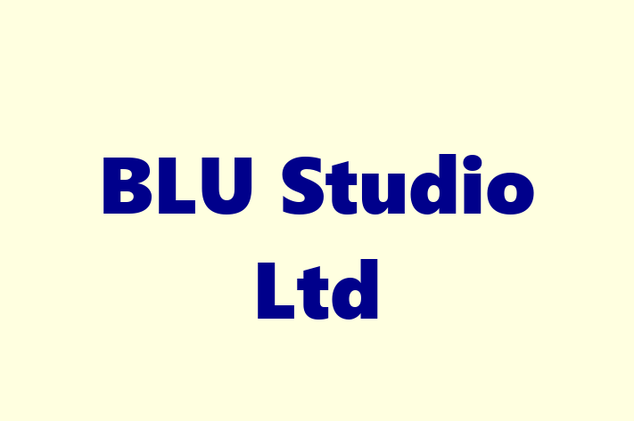 BLU Studio Ltd