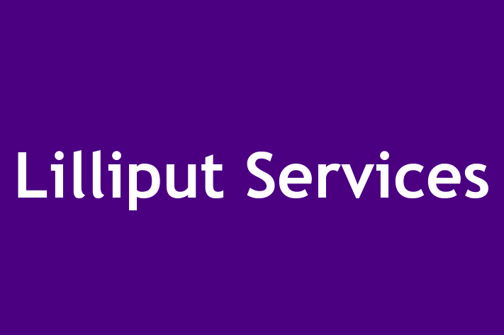 Lilliput Services