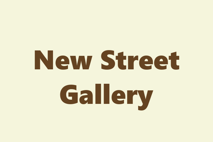 New Street Gallery