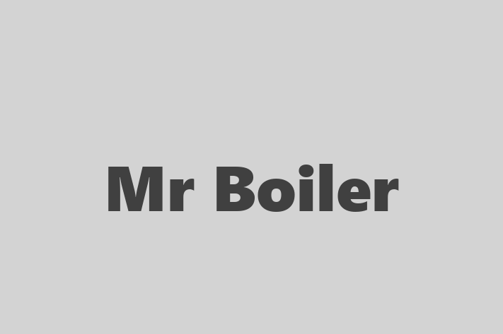 Mr Boiler