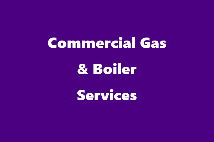 Commercial Gas & Boiler Services