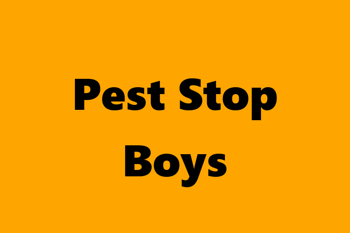 Pest Stop Boys