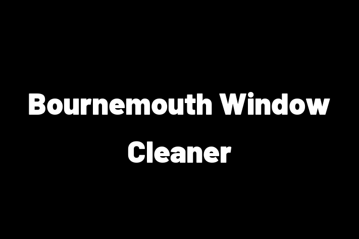 Bournemouth Window Cleaner