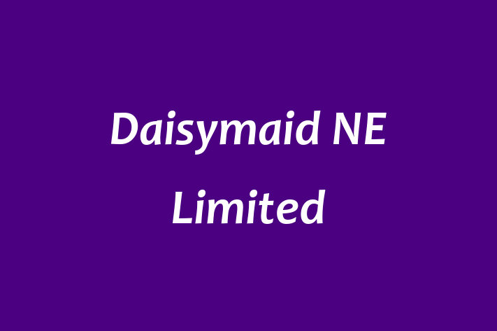 Daisymaid NE Limited