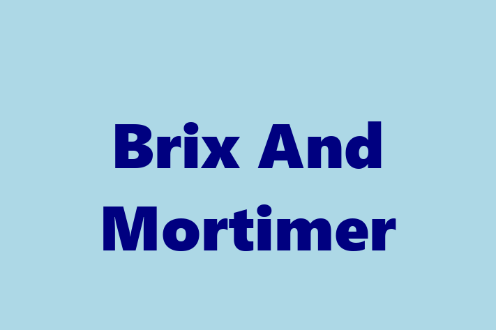 Brix And Mortimer