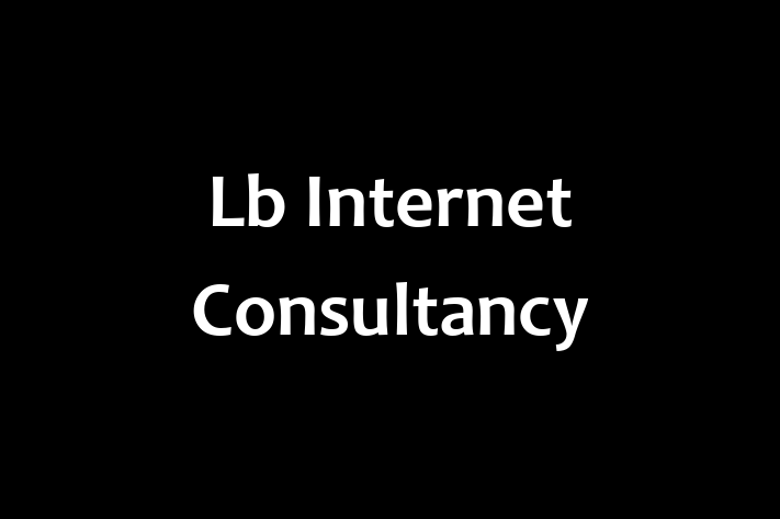 Lb Internet Consultancy