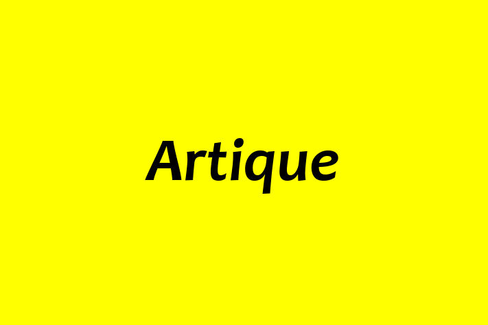 Artique