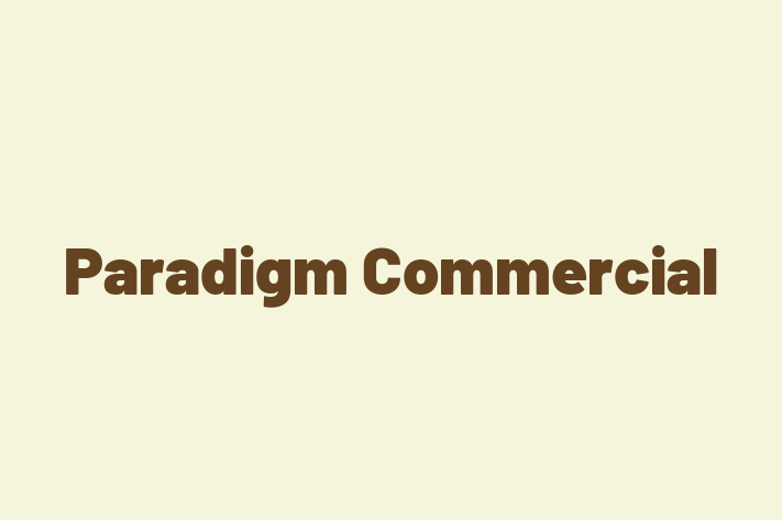 Paradigm Commercial