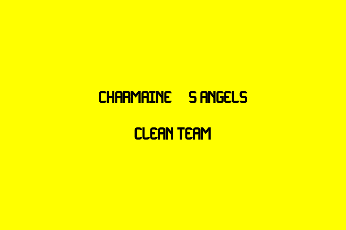 Charmaine's Angels Clean Team