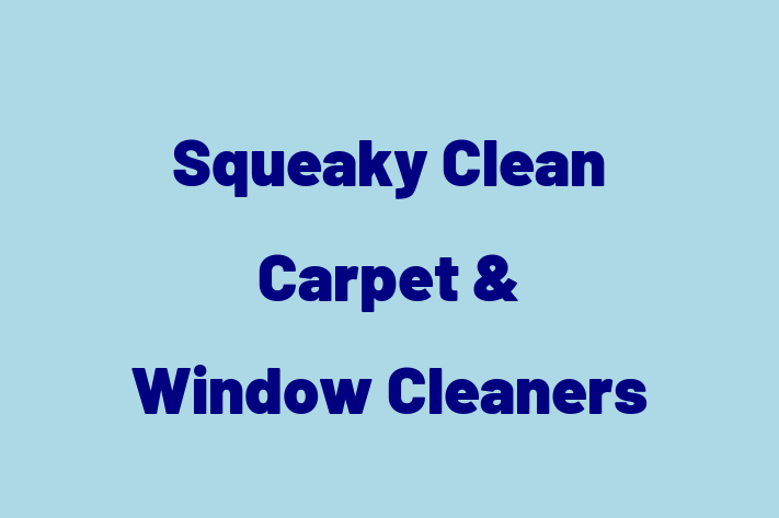 Squeaky Clean   Carpet & Window Cleaners