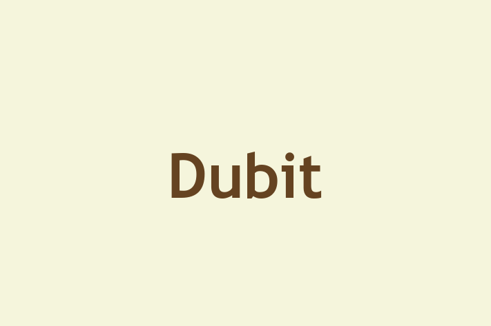 Dubit