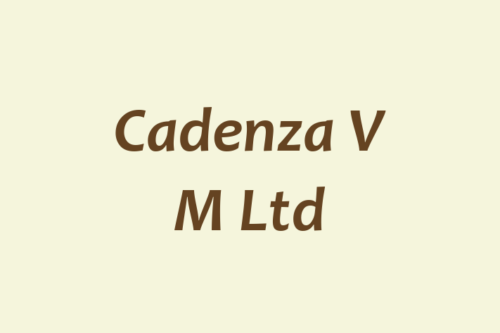 Cadenza V M Ltd