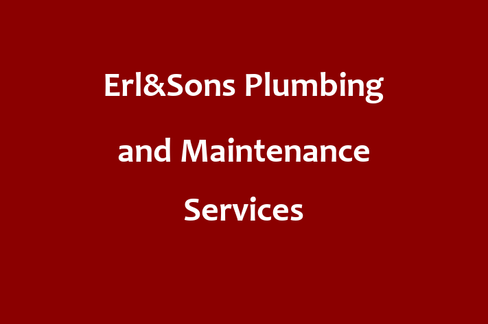 Erl&Sons Plumbing and Maintenance Services