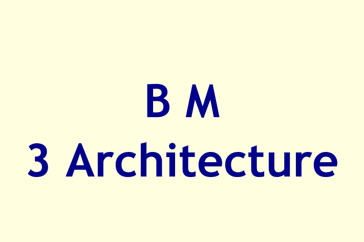 B M 3 Architecture