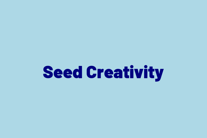 Seed Creativity