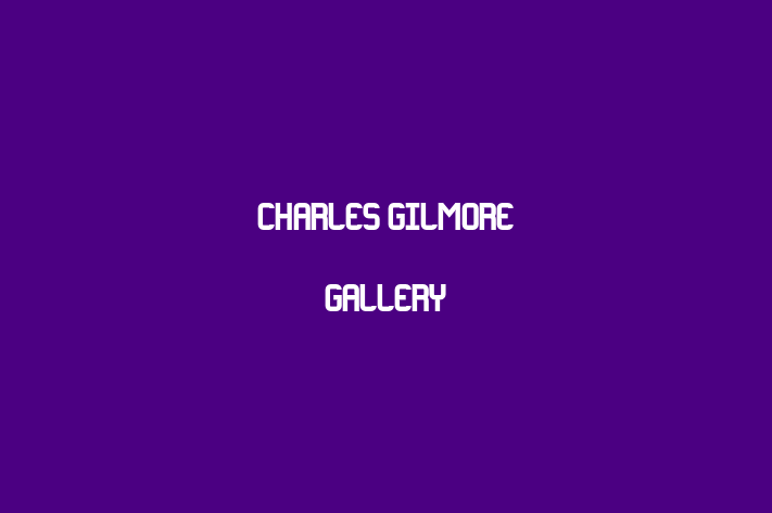 Charles Gilmore Gallery