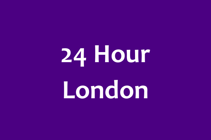 24 Hour London