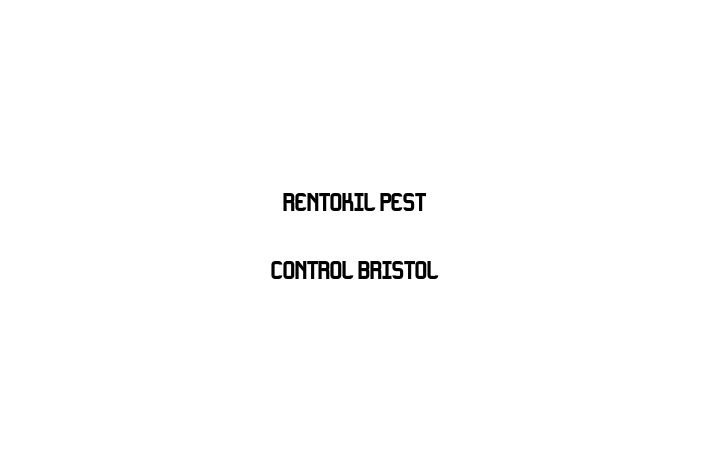 Rentokil Pest Control   Bristol