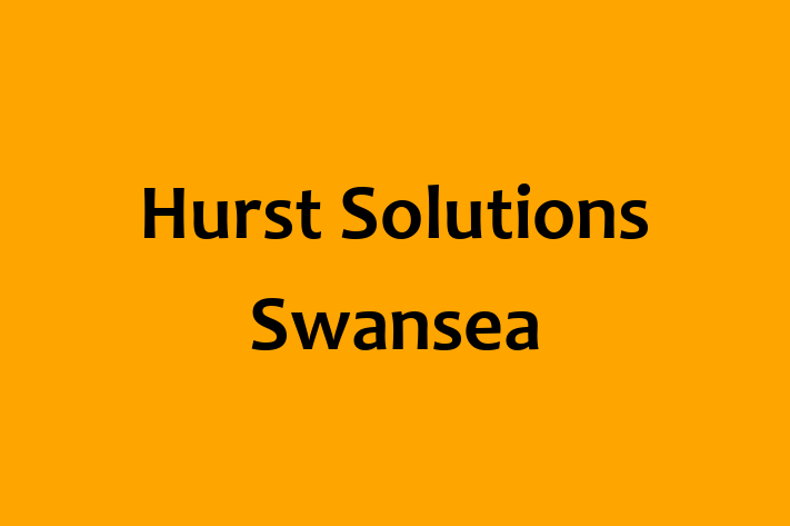 Hurst Solutions Swansea