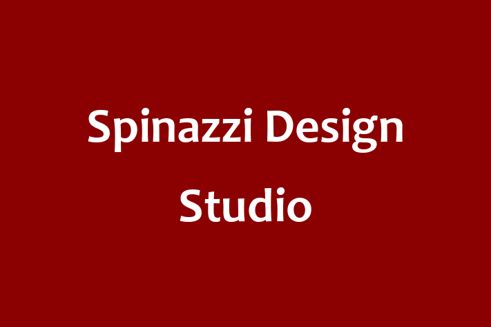 Spinazzi Design Studio