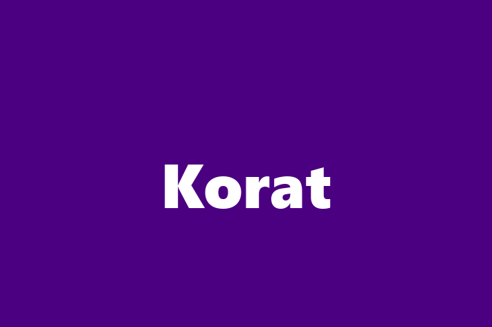 Korat Cat for Adoption in Walsall