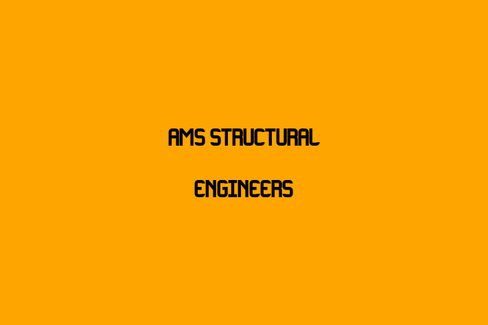 AMS Structural Engineers