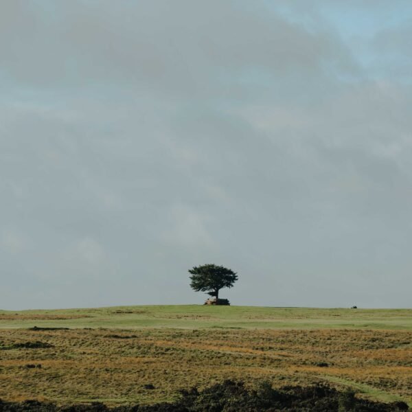 Cleeve Hill Golf Club