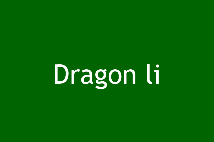 Adopt a Beautiful Dragon li Cat in Goole