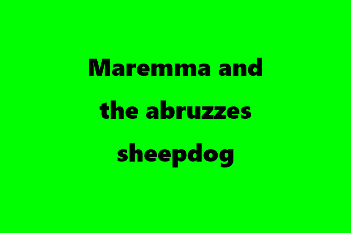 Adopt a Dog Maremma and the abruzzes sheepdog Available in High Wycombe