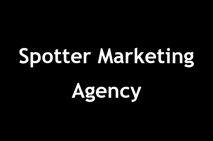 Spotter Marketing Agency