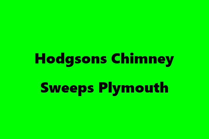 Hodgsons Chimney Sweeps Plymouth