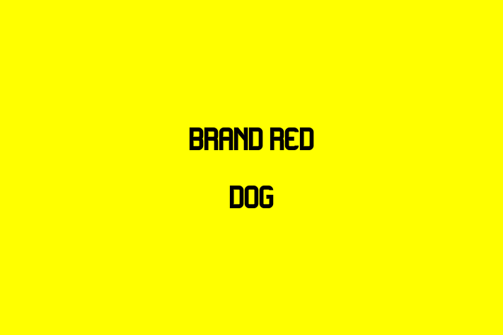 Brand Red Dog